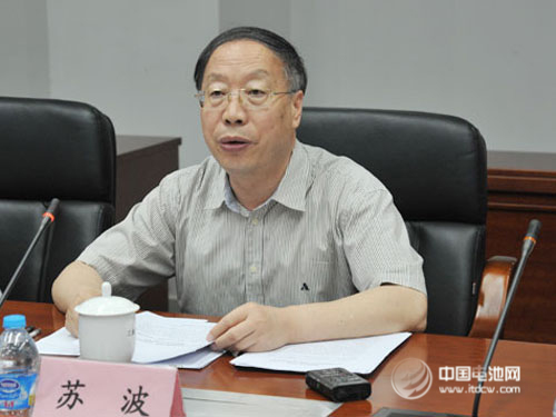 工信部副部长苏波详解新能源车推广应用指导意见