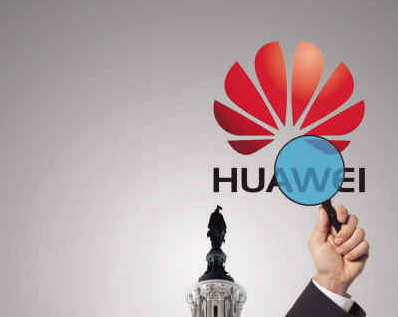 华为动物哲学：狼性文化、乌龟精神和眼镜蛇特质