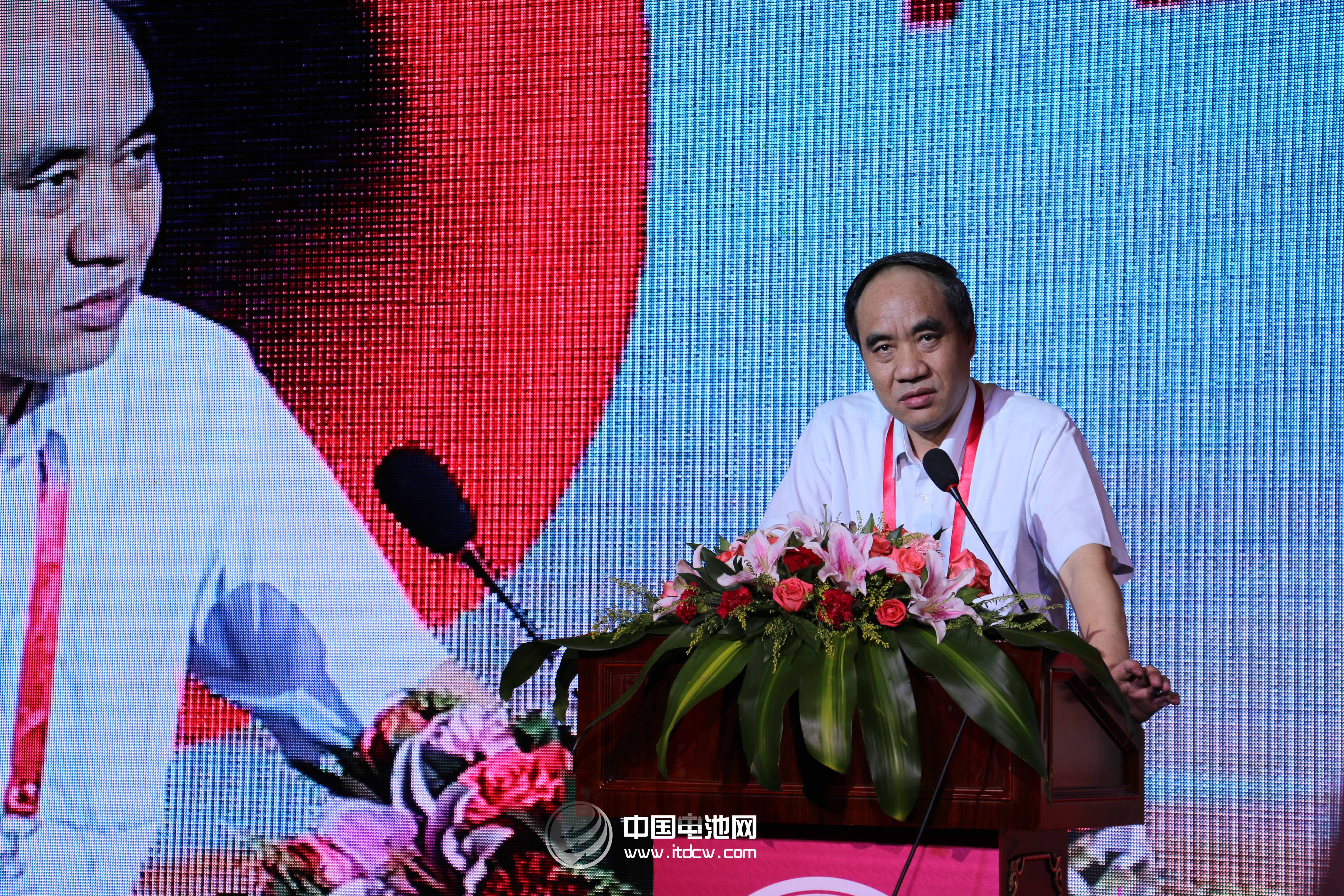 全国人大财经委员会副主任委员、著名经济学家辜胜阻