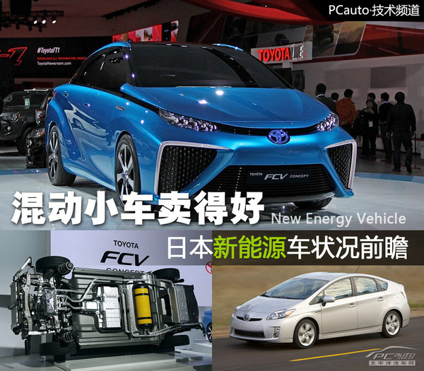 日本新能源车状况前瞻 混动小车卖得最好