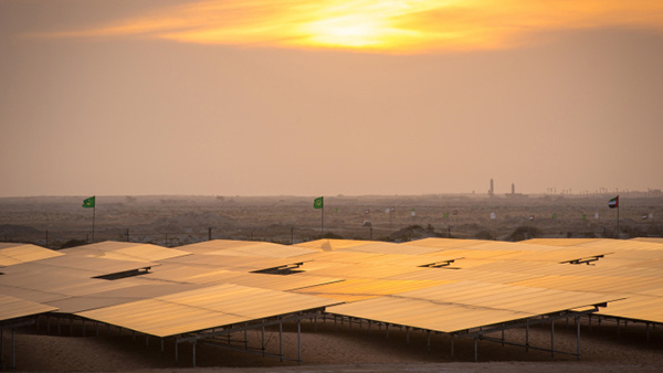 大庆企业转战光伏  新能源市场“抢滩登陆