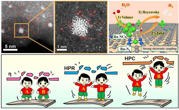 青岛能源所等开发出低成本高效析氢电催化剂
