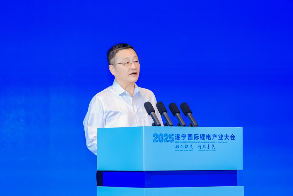 葛红林：暴利时代终结 四大方向破局锂电原材料“修复期”