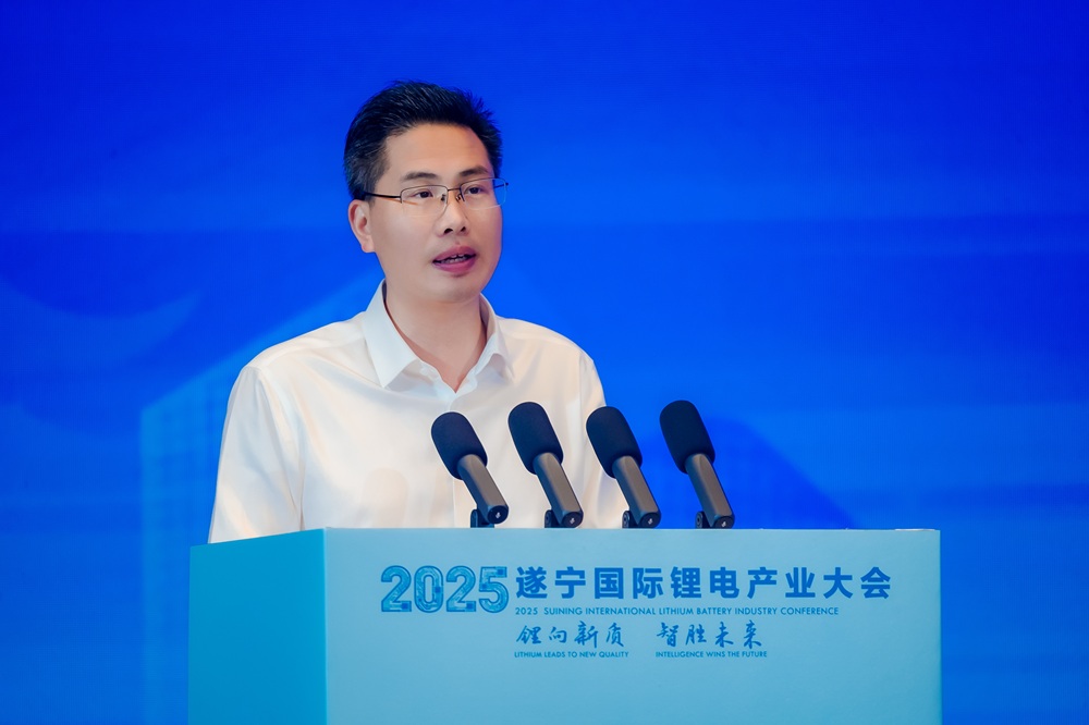 四川遂宁：构建“锂钠协同，双电并行”发展格局