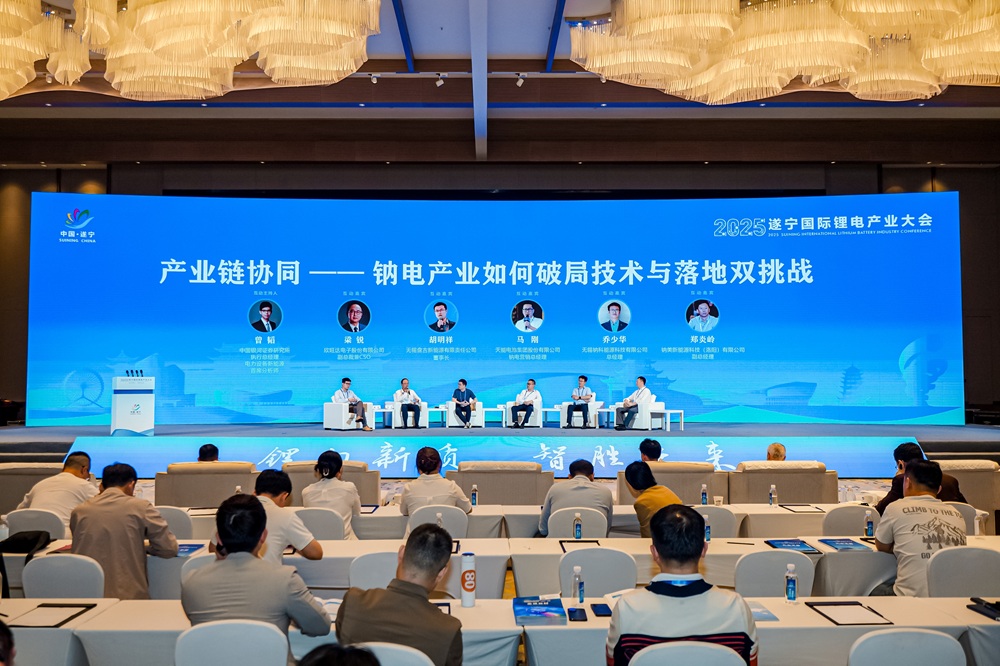 产业链协同，钠电产业如何破局技术与落地双挑战？