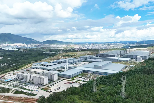 炭素巨头出手！剑指负极材料！杉杉集团重整迎新变